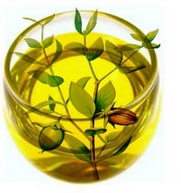 Jojoba Oil Uses & Benefits